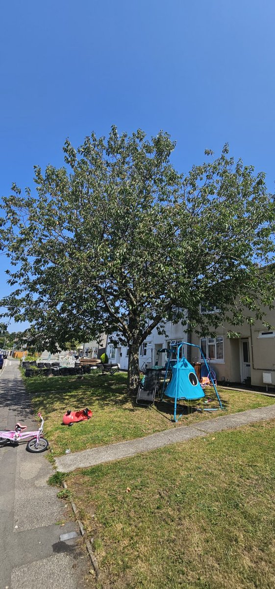 LeadsDoWork's tweet photo. #garden #treesurgeon #arborist quote required Kinsman Estate #Bodmin get this job lead via app https://t.co/xXRUUdA8ge https://t.co/sfqZkiHlGN