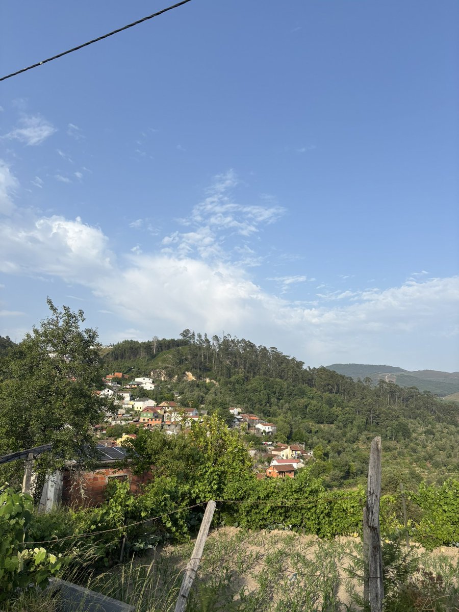 Gm fam 🌞

Reply for a surprise