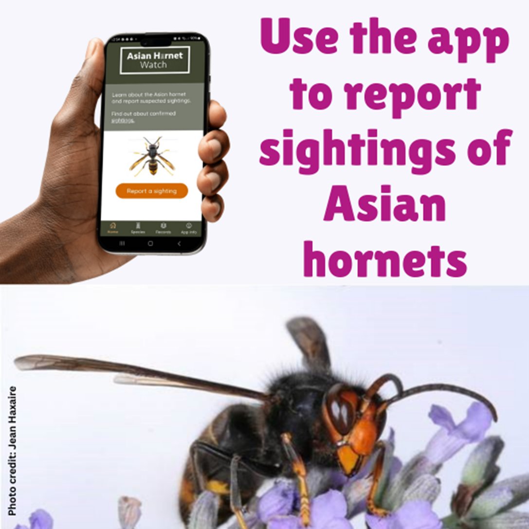 InvasivespeciesNI tweet media