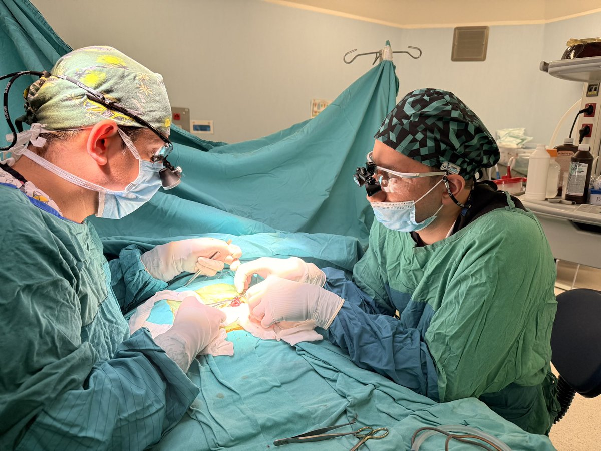 Mide delinmesi nedeniyle mide onarımı yapılan fakat tekrarlayan mide kaçakları olan geniş mide hasarlı 780 gr bebeğimize dünyada ilk kez barsak damarları korunarak barsağın bir kısmından mideye yama yapıldı ve iyileşme süreci başarıyla sonuçlandı, mide hasarı onarıldı.