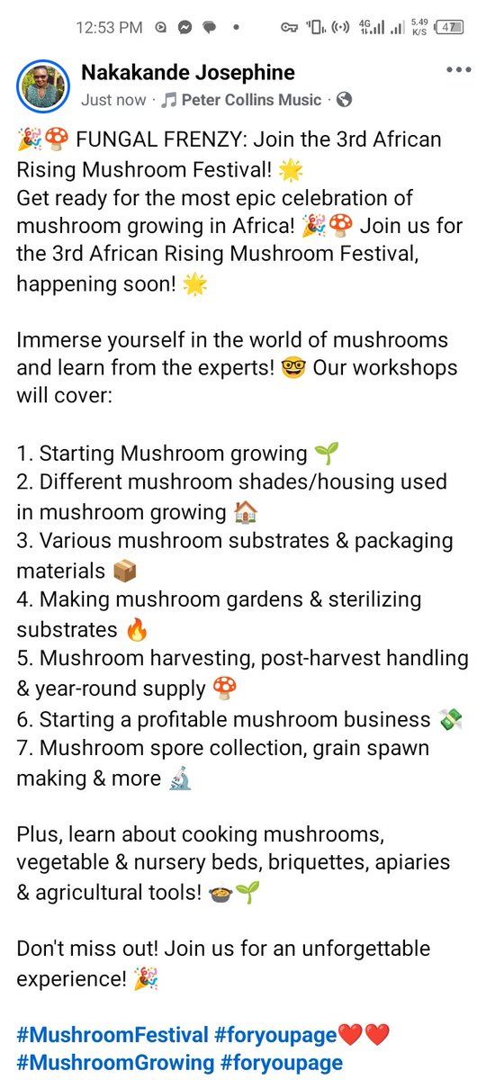 🎉🍄 FUNGAL FRENZY