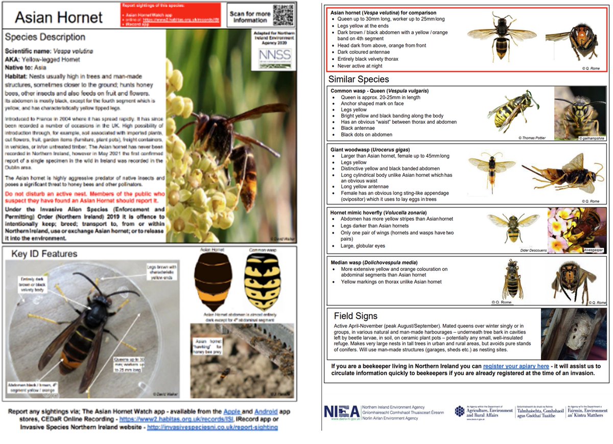 InvasivespeciesNI tweet media