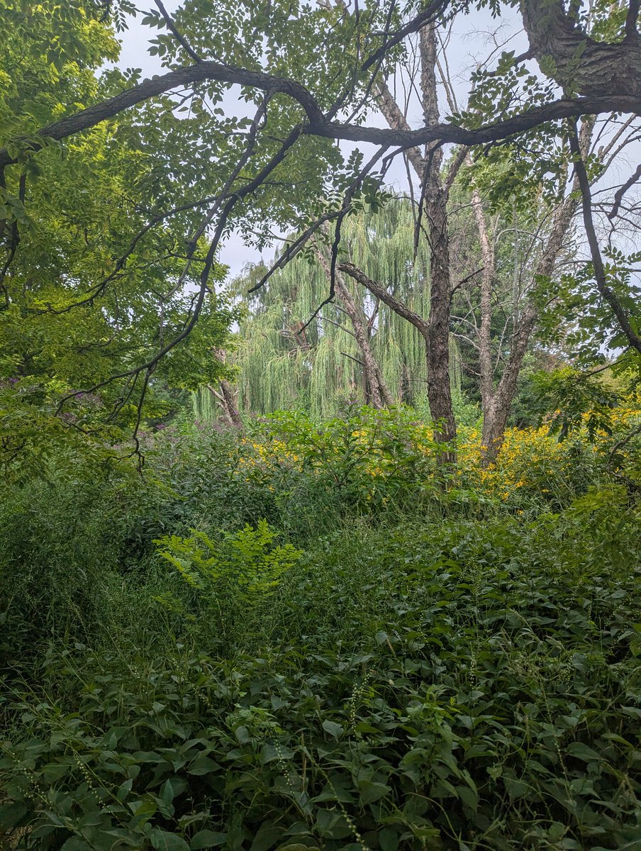 Princess Bad Bitch tweet media