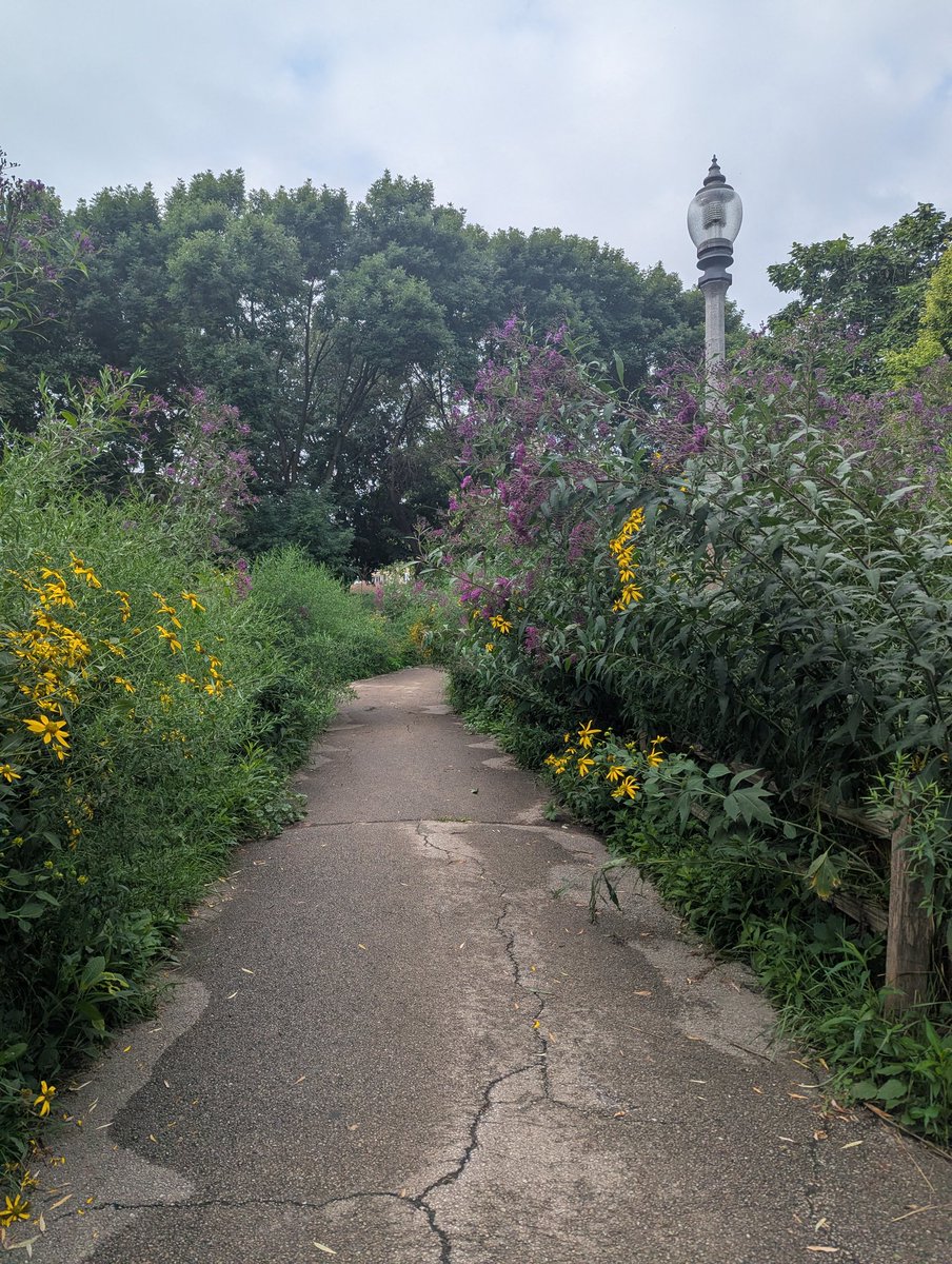 Princess Bad Bitch (@geekremix) on Twitter photo 