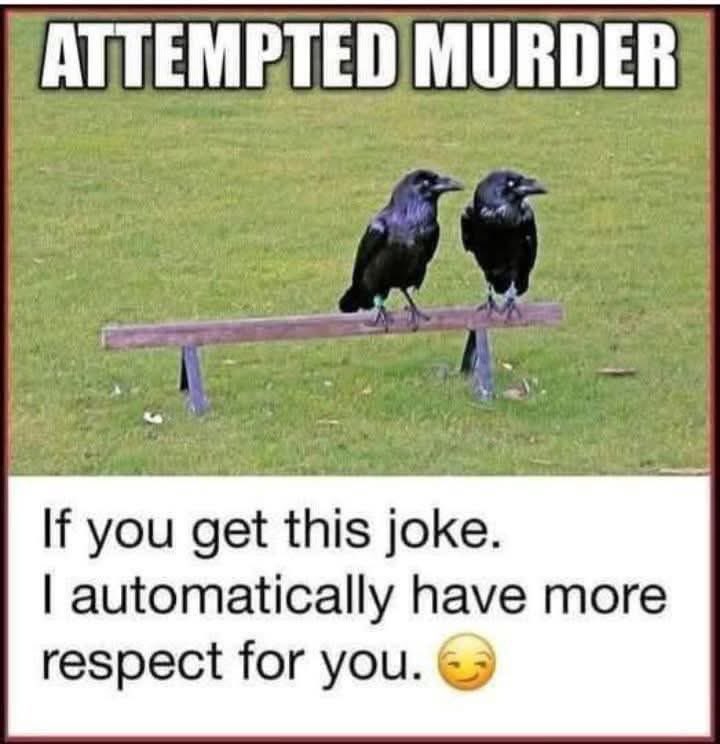 🦋Christine🦋 (@wicked_queen12) on Twitter photo 