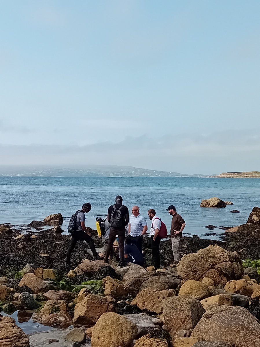 🌿 Our Lifelong Learning team hosted a 2-day Seaweed Foraging course in Dungloe with The Sea Collective. After theory class in Forbairt Na Rosann, participants explored Mullaghderg &amp; Mahery beaches, learning forage seaweeds. Supported by SICAP - visit eufunds.ie