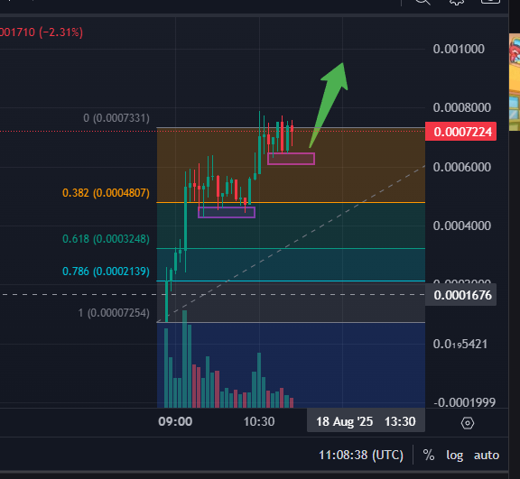 WAGMIEntry's tweet photo. $GOTCHI
CA: 7qo3J9wJ582RDX9ufiKfKL8piKg5FFFVdE1uRJiLpump
Koong spotted this gem early 🦍
First degen wave got eaten — next pump heating up 🚀

📈 Chart = juicy setup
👻 Narrative meme = strong
🔥 Community = vibing
We ride this ghost straight to ATH.

#GOTCHI #Solana #MemeCoin https://t.co/wH6NBlQRA5