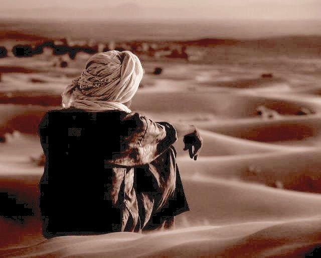 🇸🇦أحمد🇸🇦 tweet media