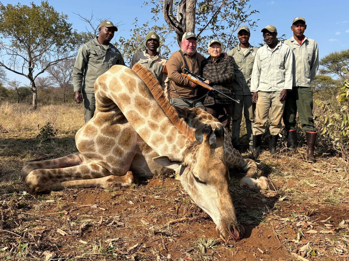Xpose Trophy Hunting (@xposetrophyhunt) on Twitter photo Bart Hanson, T&D Lube Drs, New Mexico with 'his giraffe.' Not yours, old man. Self-entitlement at it's best. 🤬
#BanTrophyHunting RT
<a href="/SARA2001NOOR/">Sara✌️💙🍉peaceFOReveryone</a> <a href="/Angelux1111/">Angel</a> <a href="/Gail7175/">WatchDominion.com Ⓥ</a> <a href="/Lin11W/">🌱🌹❤️ Anonymous for the voiceless ❤️🌹🌱</a> <a href="/PhaedraXTeddy/">Phaedra</a> Bart Hanson, T&D Lube Drs, New Mexico with 'his giraffe.' Not yours, old man. Self-entitlement at it's best. 🤬
#BanTrophyHunting RT
<a href="/SARA2001NOOR/">Sara✌️💙🍉peaceFOReveryone</a> <a href="/Angelux1111/">Angel</a> <a href="/Gail7175/">WatchDominion.com Ⓥ</a> <a href="/Lin11W/">🌱🌹❤️ Anonymous for the voiceless ❤️🌹🌱</a> <a href="/PhaedraXTeddy/">Phaedra</a>