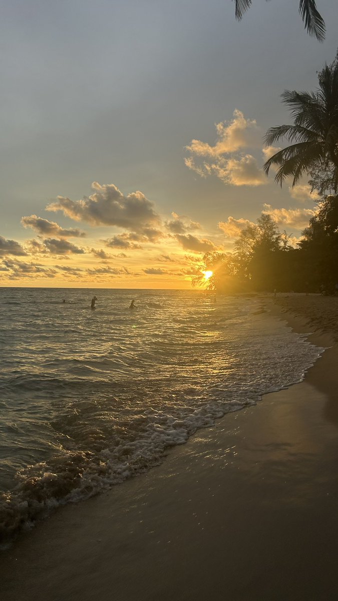 Homme de Harad tweet media