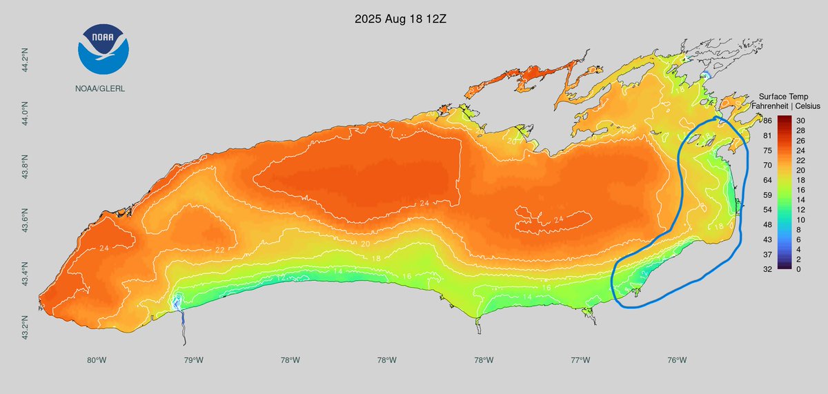Not much above normal water left on Lake Ontario. atleast 30 percent of Lake Ontario is below normal now, by Labor day all the warm water should be mixed out.

Upwelling on the eastern basin could cause the first Chinook Salmon to show up in the Salmon River by Thursday .