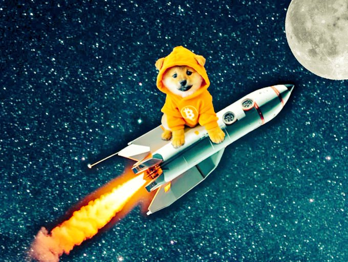 SAFIA CRYPTO tweet media