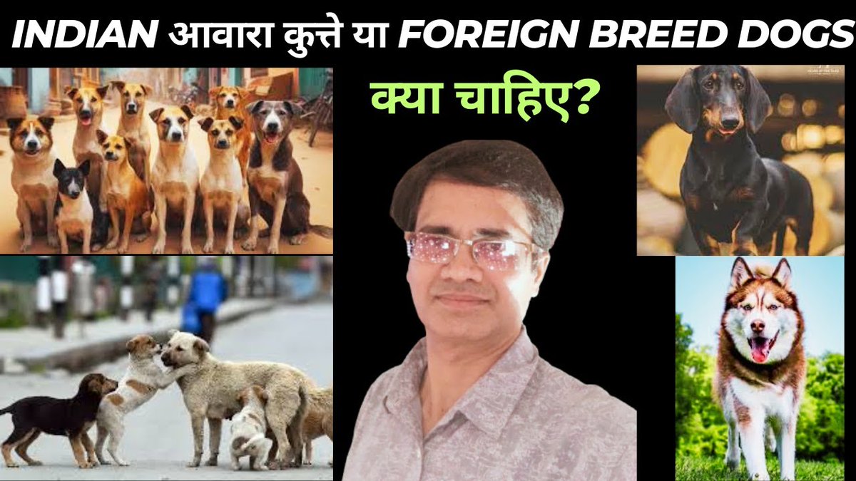 Aakash Jain आकाश जैन (@1aakashjain) on Twitter photo क्या चाहिए? Indian आवारा कुत्ते या Foreign Breed Dogs
video: youtu.be/zt1tIrwsEiQ
Aakash Jain
Life Coach | Business Consultant |
9910997482 akashjain1201@gmail.com
#StrayDogs #dogs #कुत्ता क्या चाहिए? Indian आवारा कुत्ते या Foreign Breed Dogs
video: youtu.be/zt1tIrwsEiQ
Aakash Jain
Life Coach | Business Consultant |
9910997482 akashjain1201@gmail.com
#StrayDogs #dogs #कुत्ता