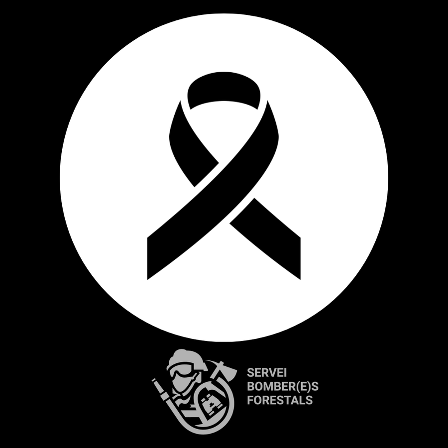 Desde el Servicio de #BomberosForestales de la <a href="/generalitat/">Generalitat</a> Valenciana trasladamos nuestro más sentido pésame a la familia y amigos del bombero forestal fallecido al volcar una autobomba mientras se retiraba del incendio declarado en la localidad leonesa de Llamas de Cabrera