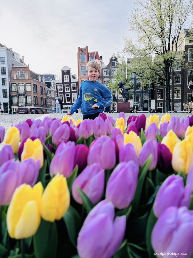 Depending on the time of year you are travelling then you may want to stop over so you can get a day trip to Keukenhof to see the tulip fields.

Read more 👉 lttr.ai/AhwSk

#TrainTravel #EuropeanTrainJourney #Interrail
