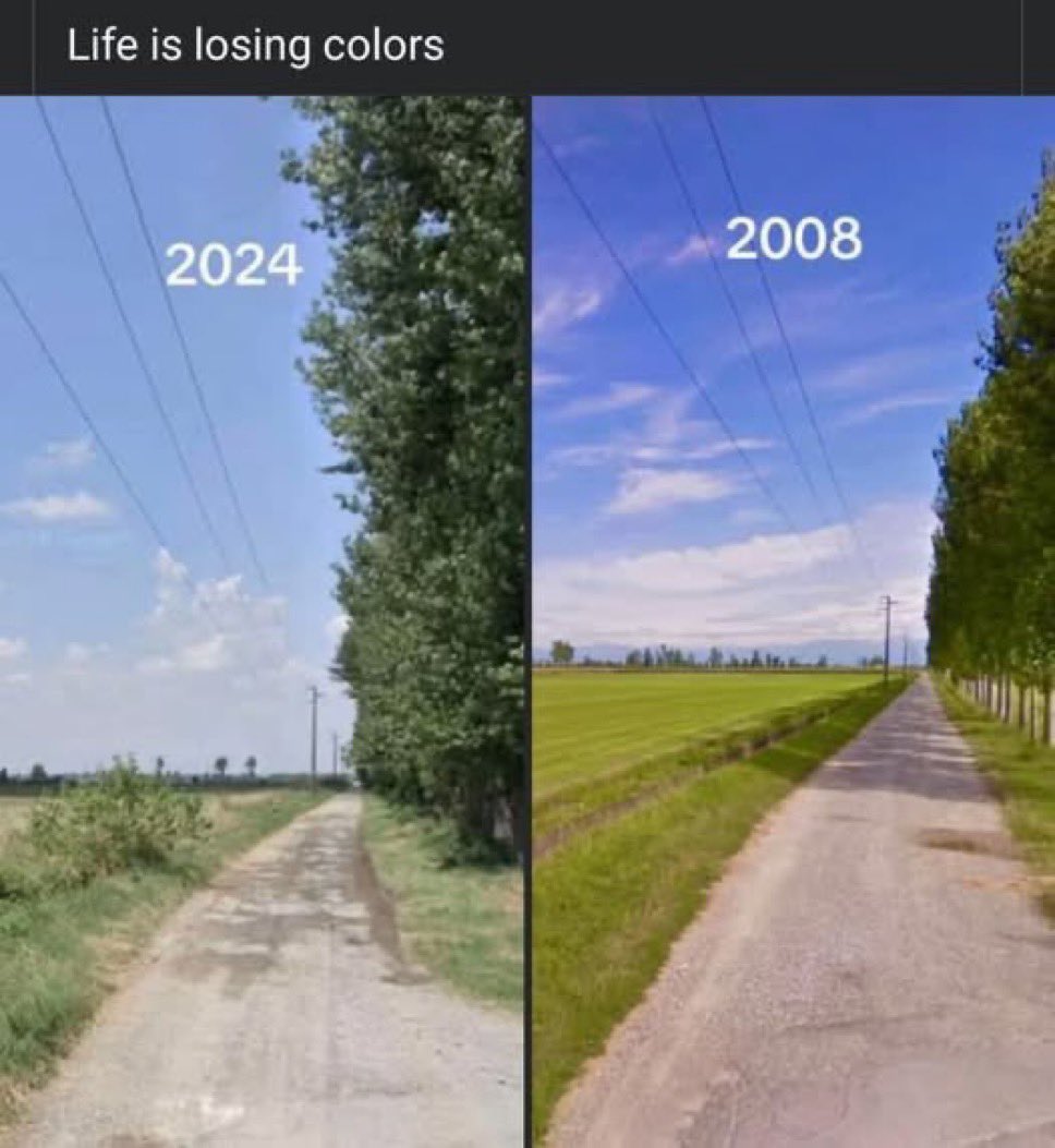 Enes Yıldız (@enesydiz) on Twitter photo 