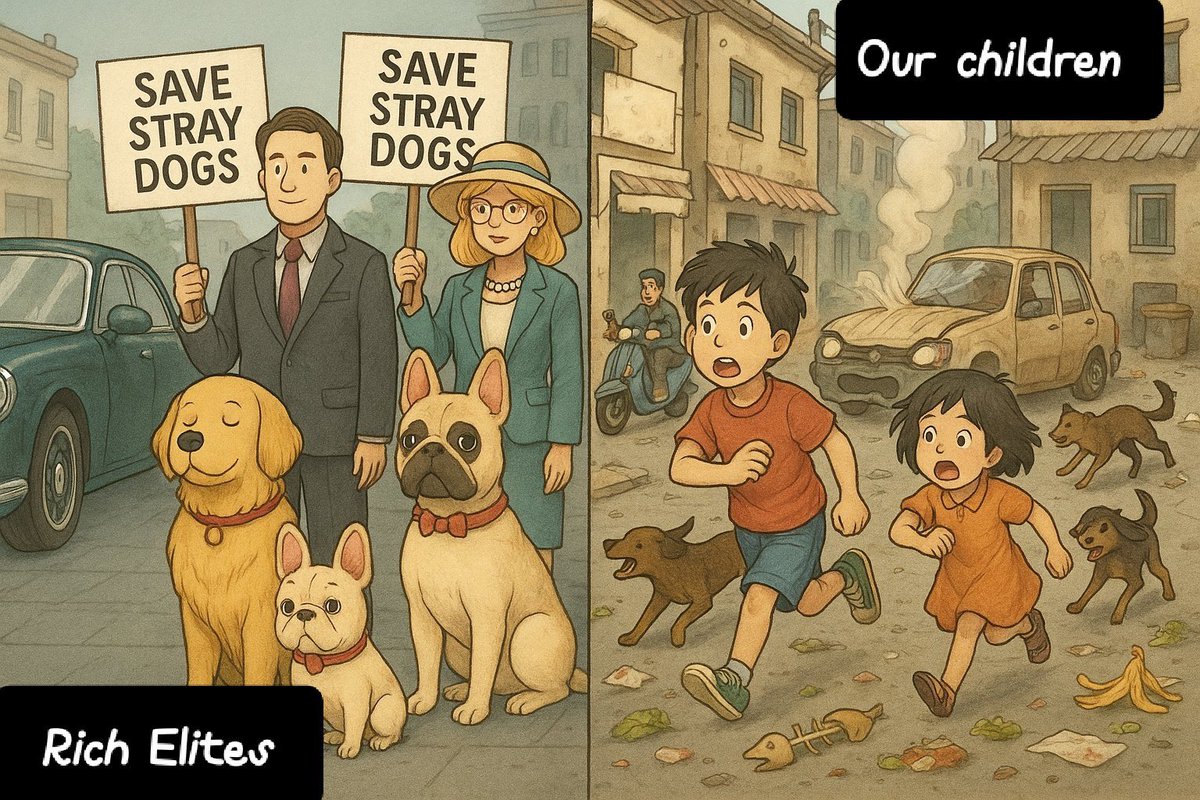 இது தான் நிஜம்! நாய் நல போராளிகள் வீட்டில் கொண்டு தெருநாய்களை விட நீதிமன்றம் தீர்ப்பு சொல்ல வேண்டும் #DogSafety