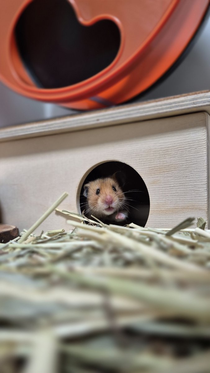 용용이네 🍑 (@ucamemeee) on Twitter photo 