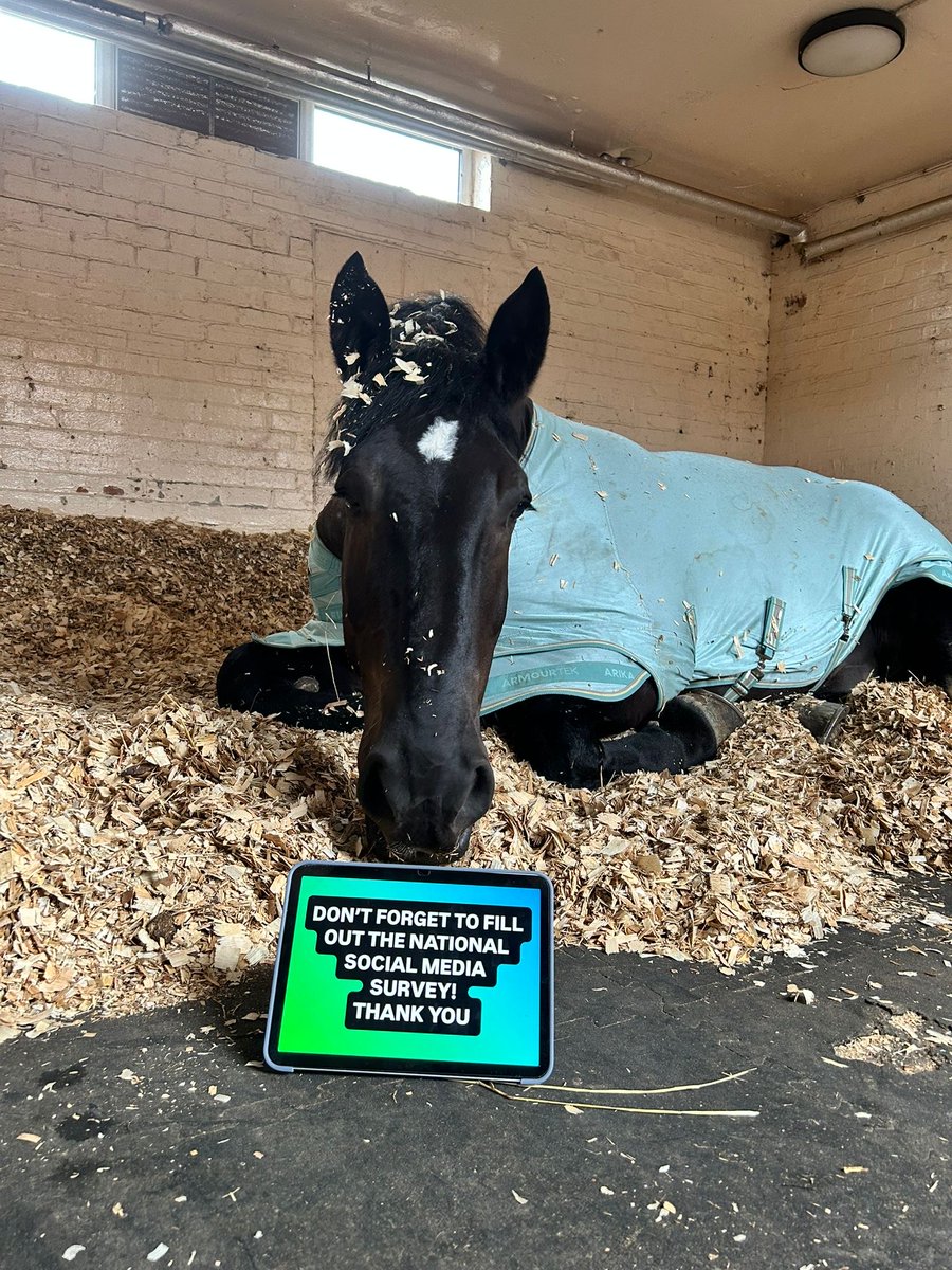 Yay or neigh? 🐴

PH Brego &amp; Owen have a HUGE favour to ask you all.

They want to know what you love ❤️ and what you don’t 💔 about our social media.

It would be great if #Merseyside had the most survey submissions nationally.

Fill in the survey here➡️police.uk/pu/notices/202…