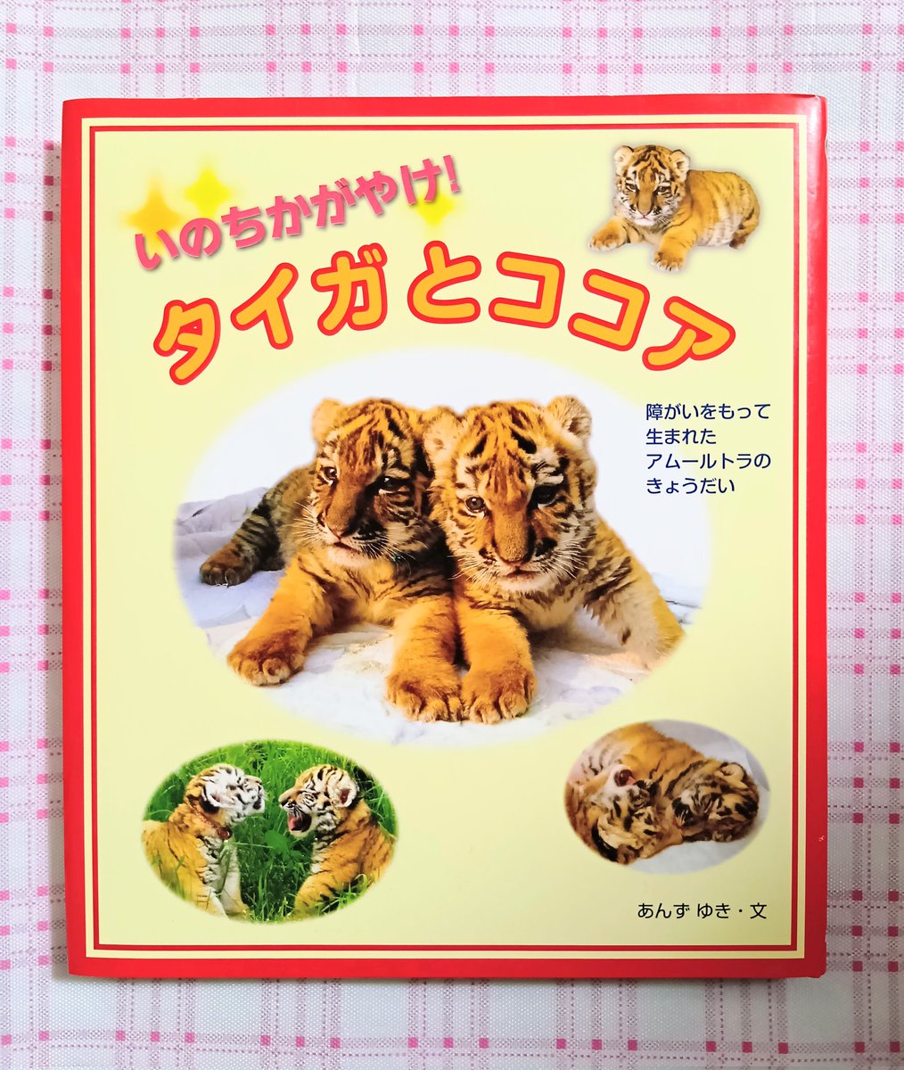 いのちかがやけ!タイガとココア : 障がいをもって生まれたアムールトラ