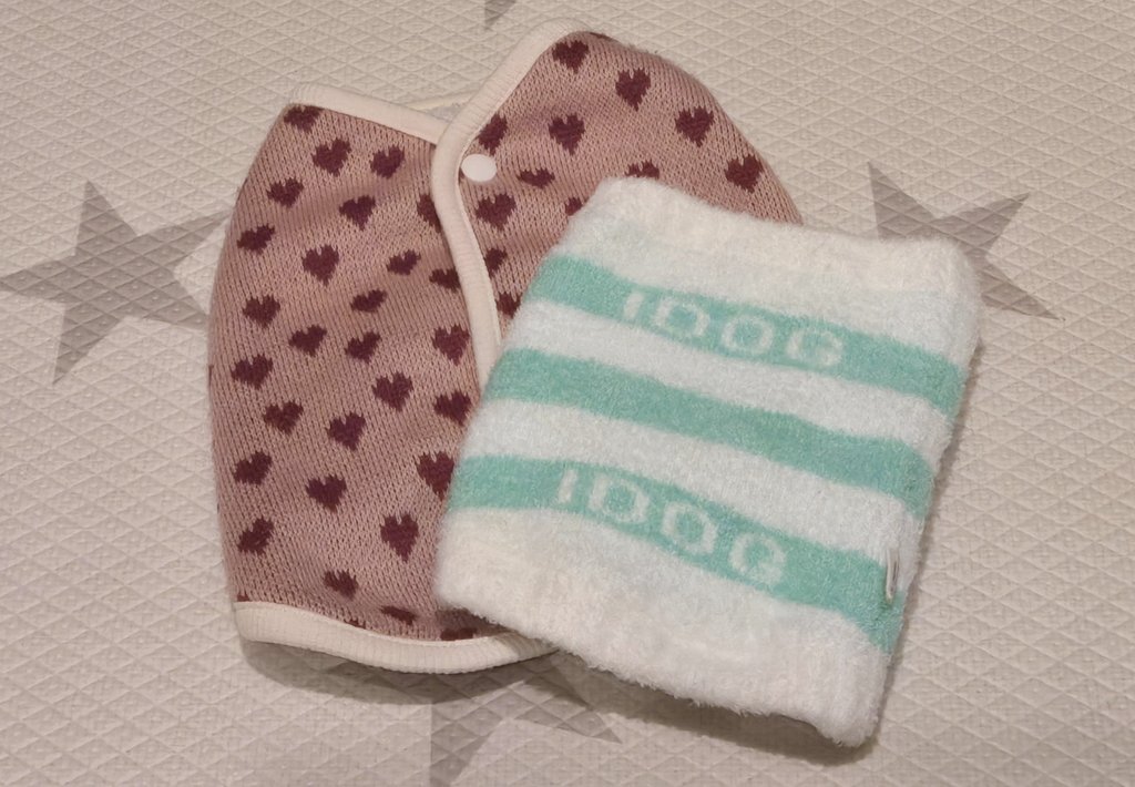 2024年4月12日に亡くなって
1度も洗濯出来ずにいた腹巻きと洋服
亡くなる前から着ていてジップロックに入れて保管
(封はしてませんでした)
ココの匂いが無くなるのがとにかく嫌でした

寂しい気持ちはあるけど
ふと洗濯しようと思い今日洗濯しました
ココの匂いはないけど大事に保管します