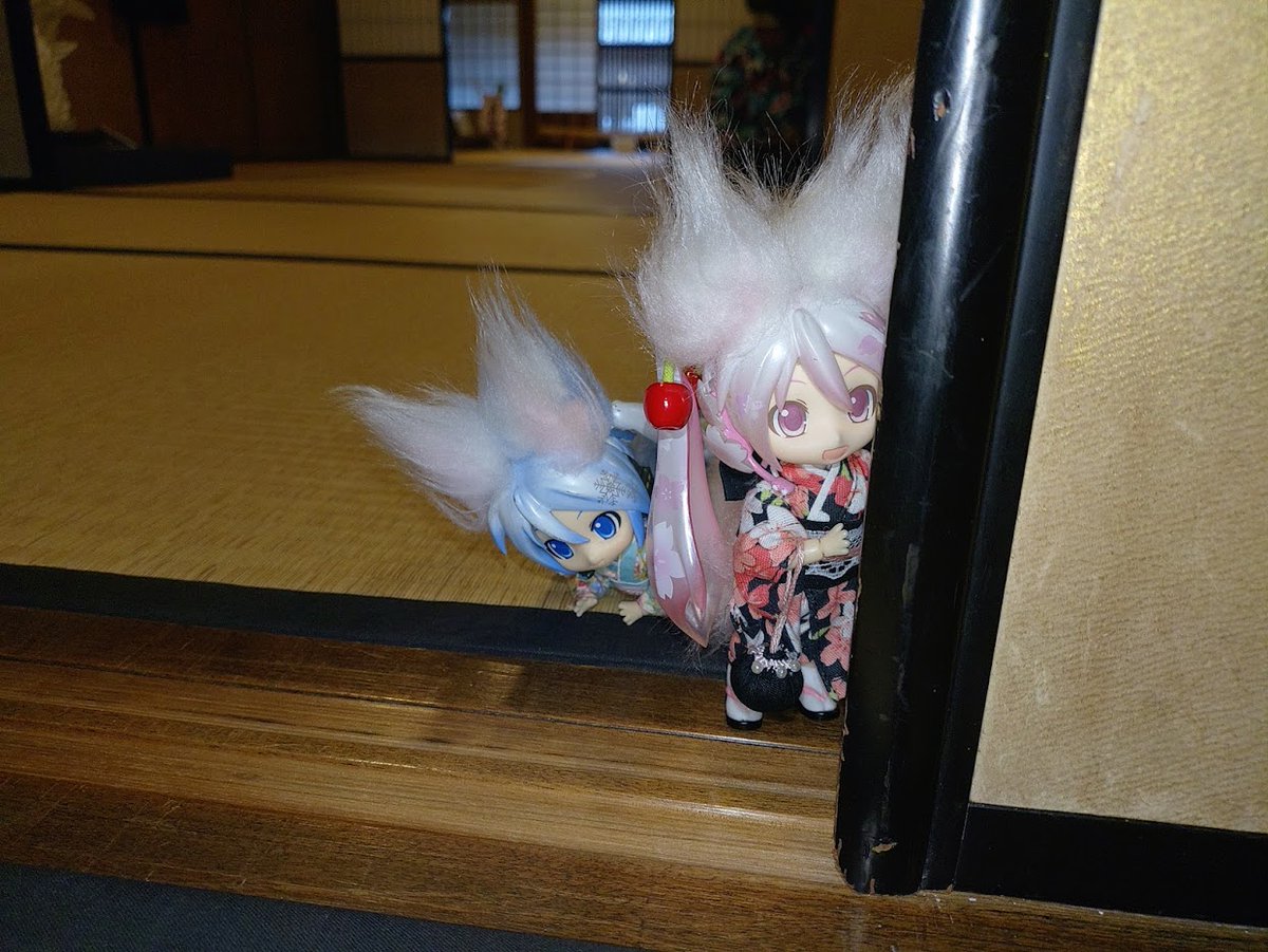 #深夜の初音ミク撮影60分一本勝負
8/18のお題【観察】【既出】
この顔は観察じゃなく企んでる顔・・・