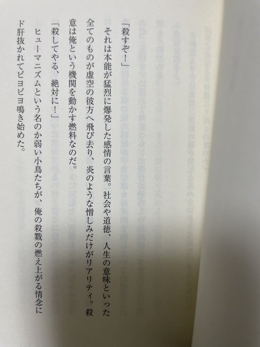 Carre echoed 3rd.y / 3a suicidio 中原昌也 絶賛 Carre echoed 3rd.y / 3a suicidio 中原昌也 絶賛 中原 昌也