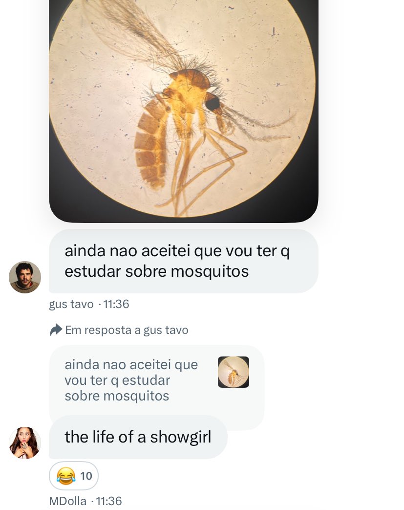 socorroo