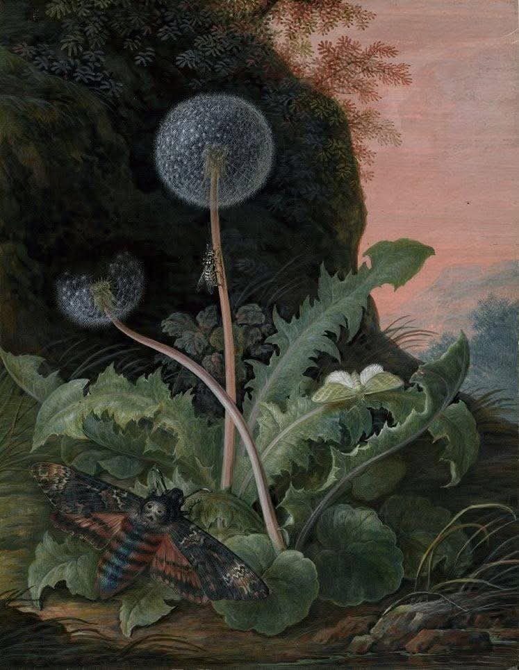 Humanit'Elles tweet media