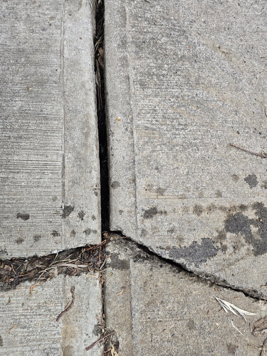 nenazaragoza70's tweet photo. @AccionesBJ 
@AccionesBJ 
@CESAC
Favor de acudir a reparar fuga de agua en banqueta, tiene 1 semana y el agua ya apesta.
Es en calle Patricio Sanz 217
Col. Del valle. https://t.co/TGyjaua064