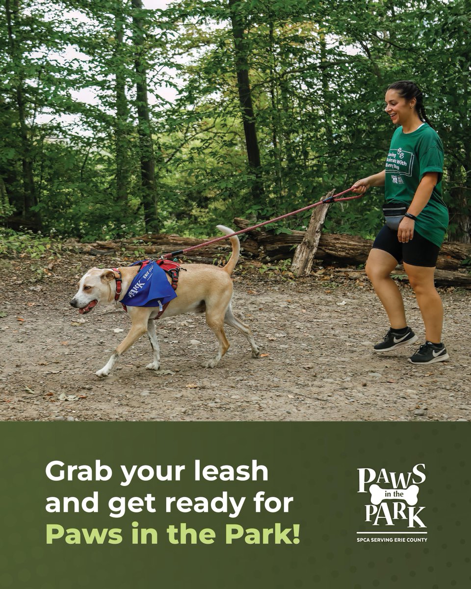 Buffalo’s Real Country 107.7 and 104.7 The Wolf (@thewolfbuffalo) on Twitter photo Paws in the Park hosted by <a href="/YourSPCA/">Erie County SPCA, NY</a> returns 9/27 at Knox Farm State Park! Register now and join in on a fun morning walking for a great cause! Get ready to leash up and make some memories – it’s going to be a paws-itively amazing morning!
Register: secure.qgiv.com/event/pitp25! Paws in the Park hosted by <a href="/YourSPCA/">Erie County SPCA, NY</a> returns 9/27 at Knox Farm State Park! Register now and join in on a fun morning walking for a great cause! Get ready to leash up and make some memories – it’s going to be a paws-itively amazing morning!
Register: secure.qgiv.com/event/pitp25!