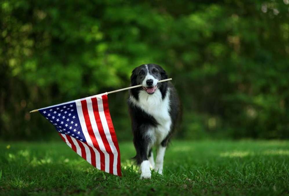 CookLibrary's tweet image. Quick reminder - The Library will be closed on Monday, September 1 for Labor Day. For now, keep on enjoying summer!
#laborday #closing #libraryhours