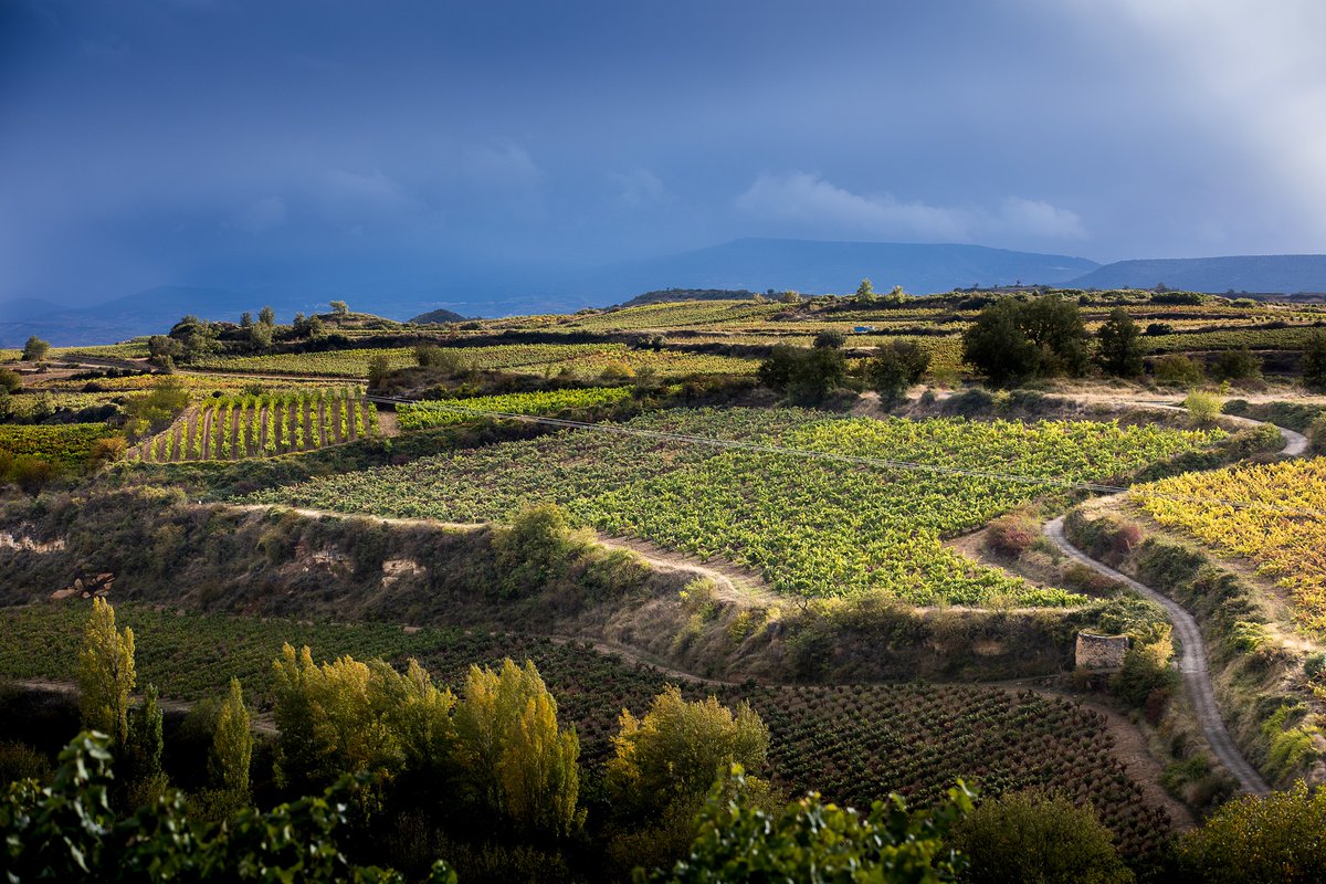 Altos de Rioja tweet media