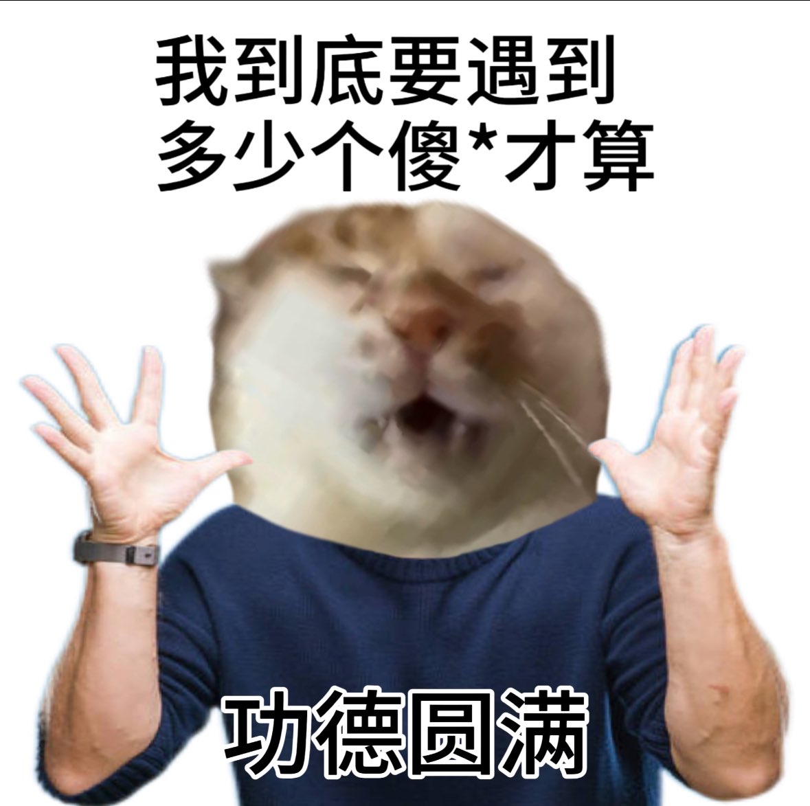 shabiliwoyuandian tweet media