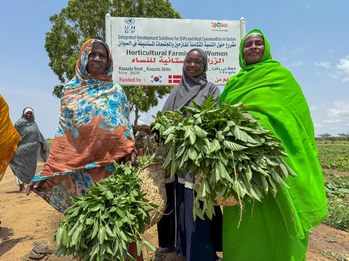 UNDP_Sudan's tweet image. Women in #Kassala are at the center of local economic recovery.

Backed by @UNDP #FundingWindows, they are supported with land, seeds and market access to grow vegetables, feed their families, earn income and make food more affordable in local markets.