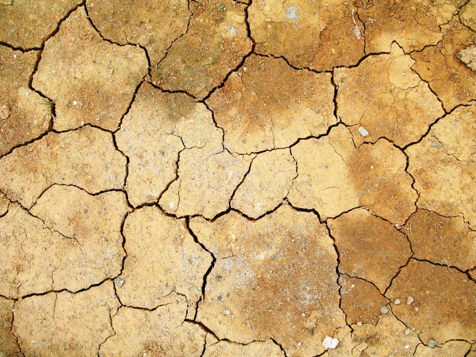 "Looking ahead to the coming wave of AI transformation, it's difficult to appreciate how much of today’s world will soon be unrecognisable." 🔮

Find out Andre Reitenbach, CEO of <a href="/gcore_official/">Gcore</a>'s thoughts on the future of #AI in <a href="/Forbes/">Forbes</a>: forbes.com/councils/forbe…