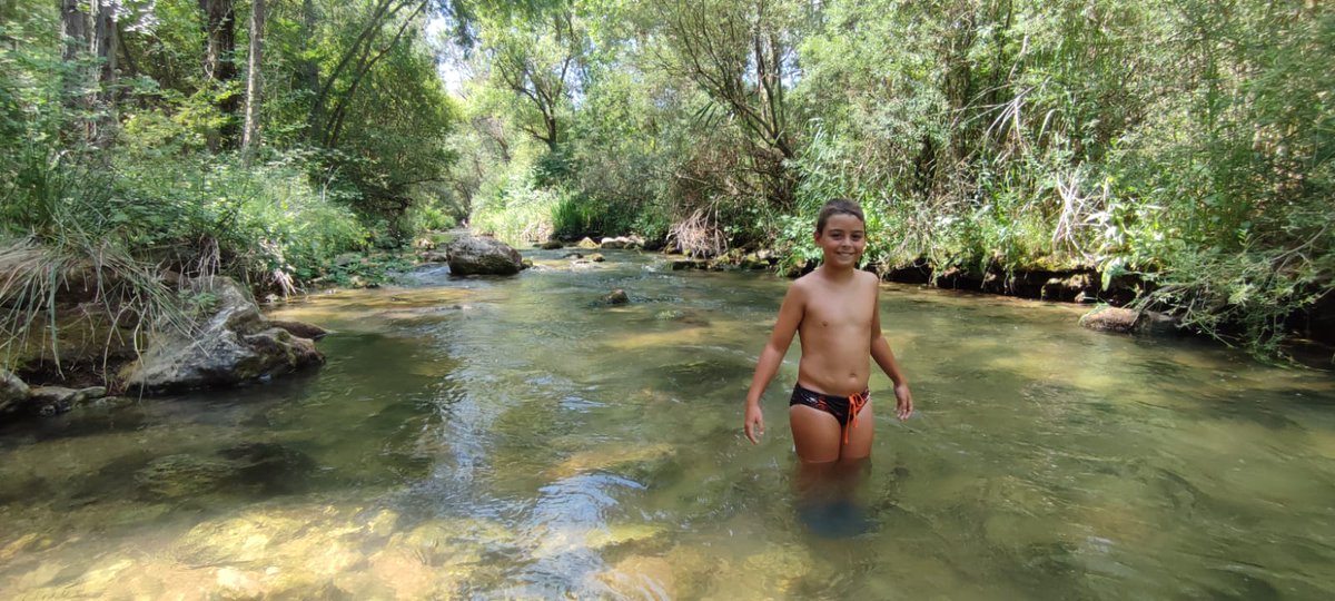 waterpoloturia tweet media