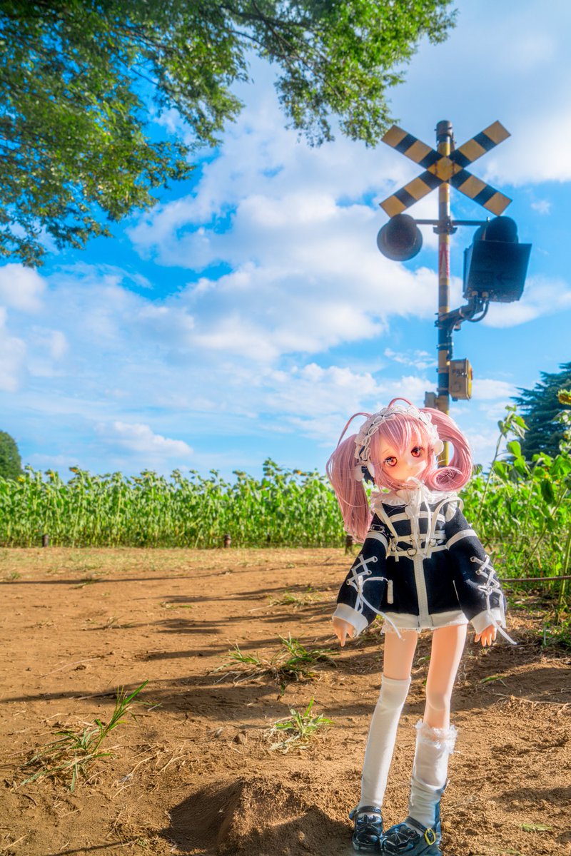 この空間とても夏だった☀️