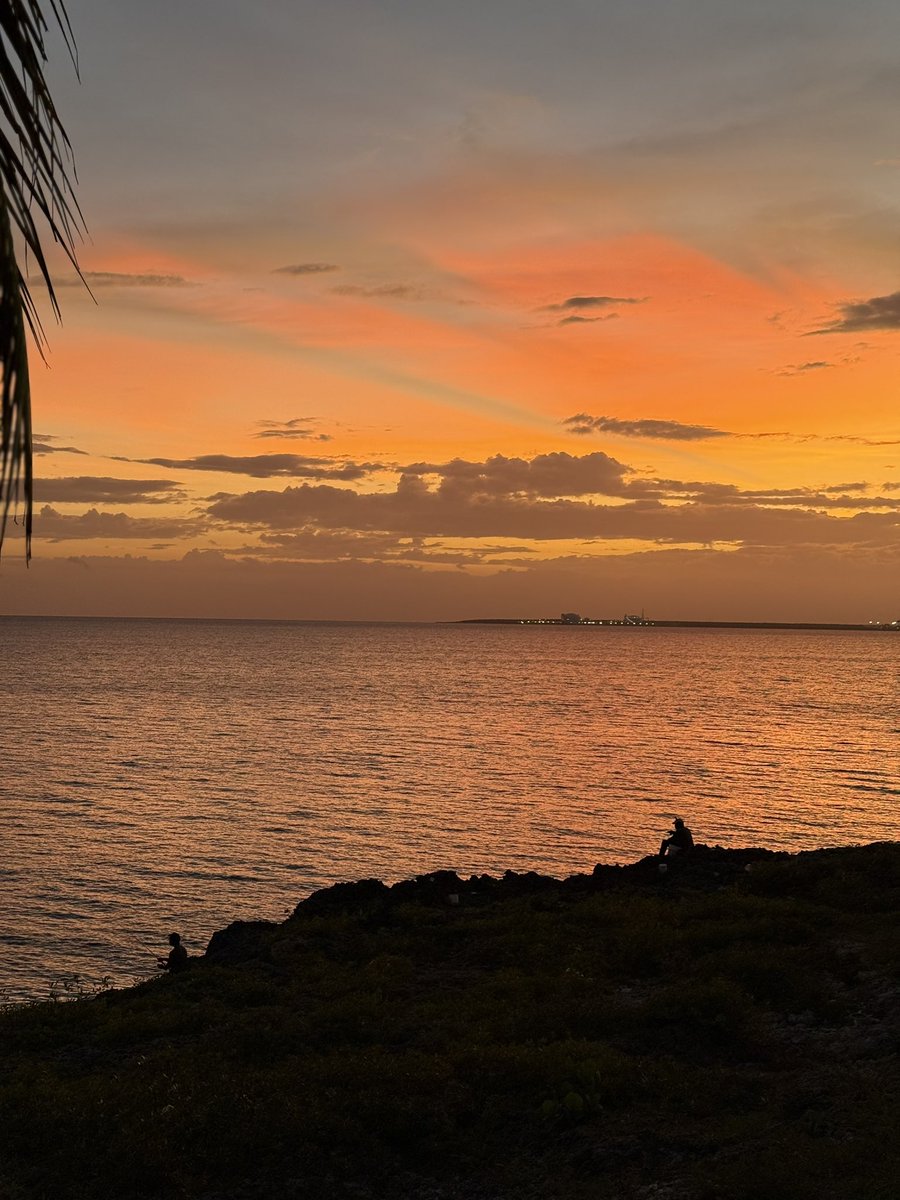 Gm, never kill yourself