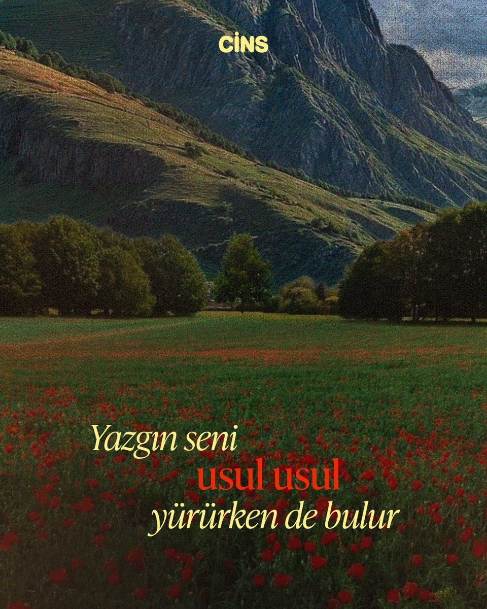 Her şey aceleyle değil, vaktiyle güzelleşir.