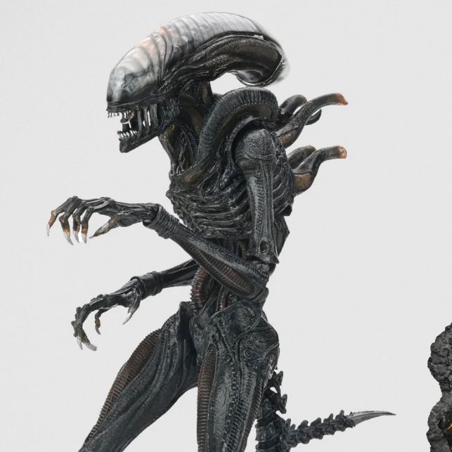 Waldemar Zboralski tweet media