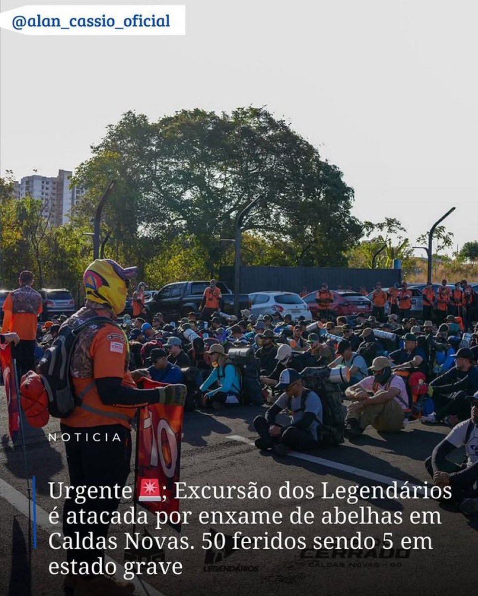 lumene86's tweet image. Muito obrigado abelhas !!