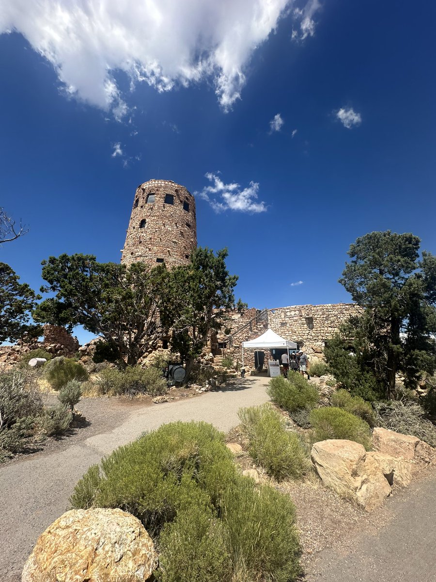 Octavious Rex tweet media