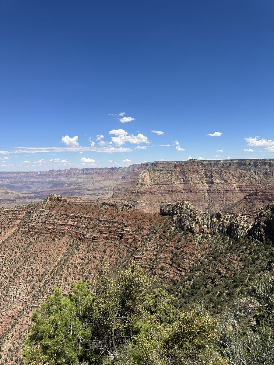 Octavious Rex tweet media