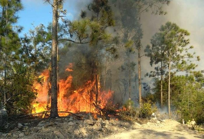 #100AñosConFidel | 

Acertadamente, Fidel alertó que el hombre está en riesgo de desaparecer por la liquidación de sus condiciones naturales de vida.

En el Día Mundial de la prevención de incendios forestales recordemos la deuda ecológica del capitalismo.