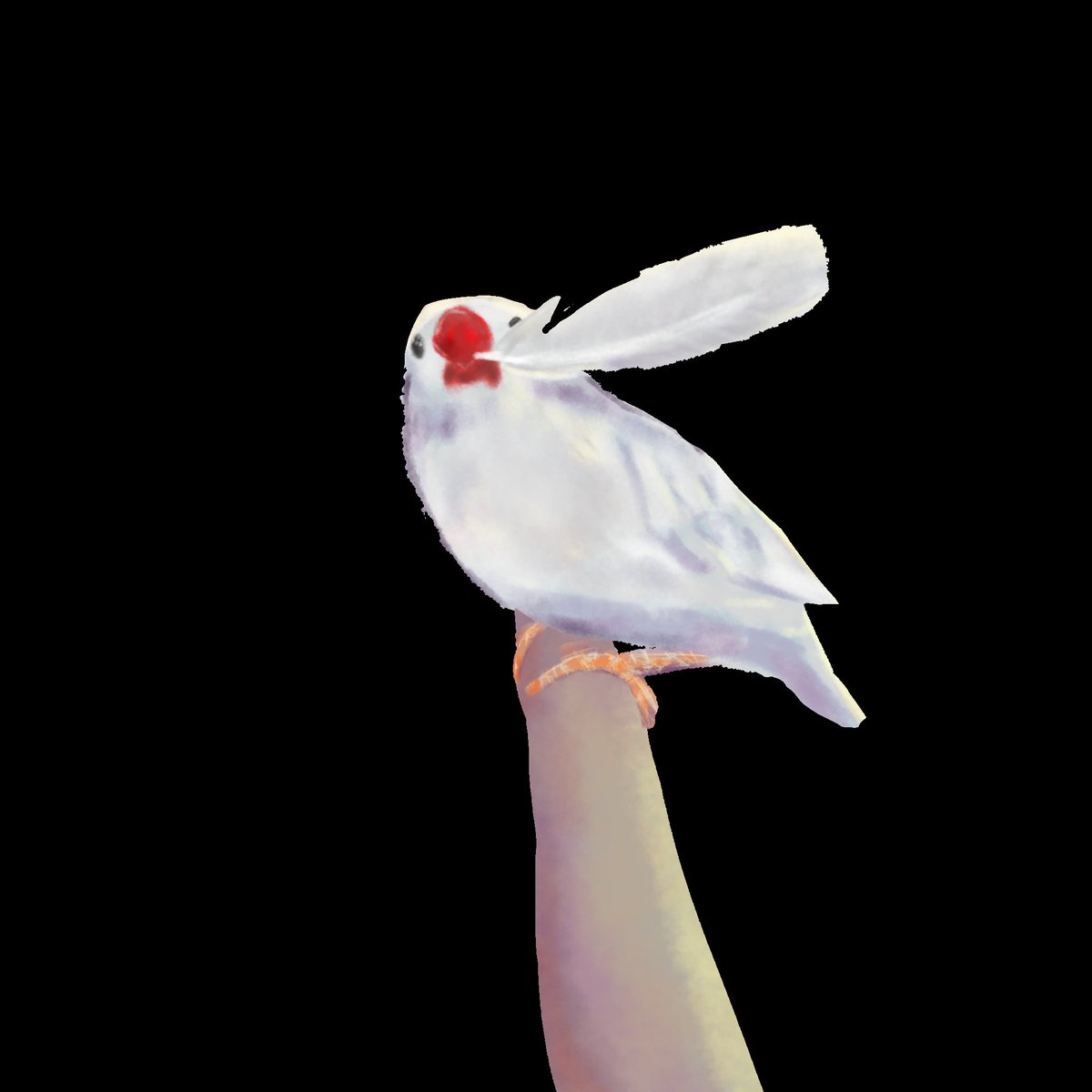 鳥 - Search / X