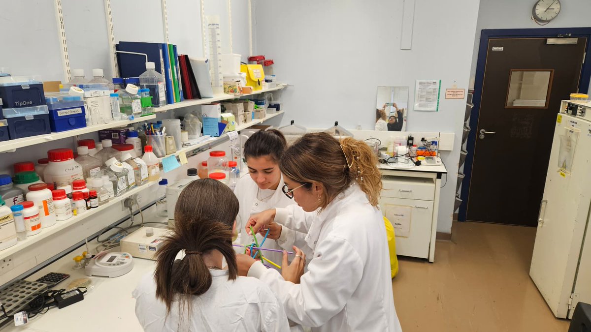 Centre for Clinical Microbiology UCL tweet media