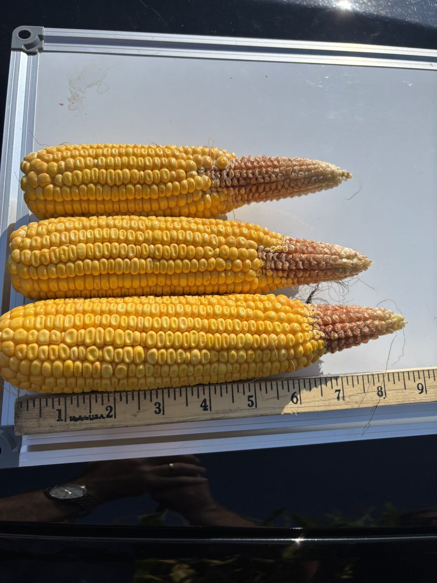 Blackford County Indiana
#pftour25 #TipBackTour25