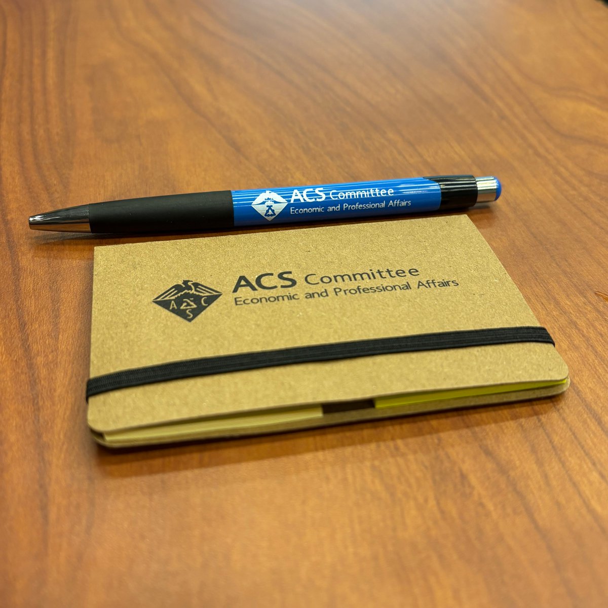 For those at #ACSFall2025, stop by the Committee Row at Sci-Mix tonight from 8-10 PM to learn more about how the ACS Economic and Professional Affairs Committee (CEPA) oversees initiatives that improve members’ economic opportunity and professional growth acs.org/about/governan…