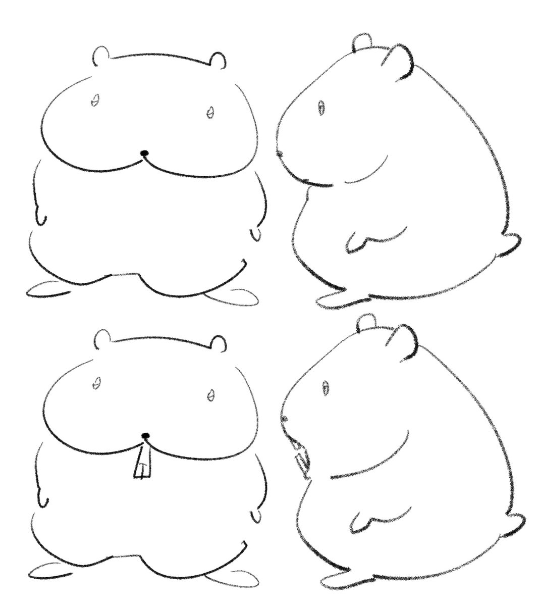 햄무 옆모습 이게진짜맞나